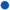 icon_bullet_blue